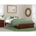 Lark Manor™ Aayanna Solid Wood Storage Platform Bed in Brown | 14.5 H x 60.25 W x 81.5 D in | Wayfair 620C46CDE02E41D1BACF5DD4E9AB26E9