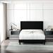 Latitude Run® Jarita Queen Platform Bed Upholstered/Metal in Black | 46.3 H x 65.4 W x 86.6 D in | Wayfair C8B608888EE44F6F8949ECD74892D76D