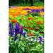 Ebern Designs Flower Bed - Wrapped Canvas Photograph Canvas in Green/Indigo/Orange | 18 H x 12 W x 1.25 D in | Wayfair