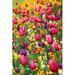 Ebern Designs Spring Colorful Flowers - Wrapped Canvas Photograph Canvas in White | 36 H x 24 W x 1.25 D in | Wayfair
