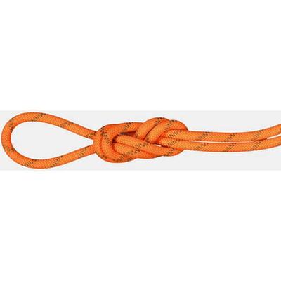 MAMMUT 8.0 Alpine Dry Rope, Größe 70 in Dry Standard, safety orange-boa