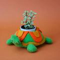 Felt Tortoise Ceramic Planter