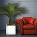 Laura Ashley Panama 54" Artificial Palm Tree in Planter Plastic/Fiberstone in White | 54 H x 44 W x 44 D in | Wayfair VHX111211