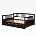 Wildon Home® Nueva Full Daybed w/ Trundle in Brown | 34 H x 57 W x 78.6 D in | Wayfair 43935E641E58446DBBED6364C9BBCEDB