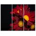 Design Art Red Velvet Chrysanthemum Flowers - 3 Piece Graphic Art on Wrapped Canvas Set