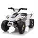 Ride on Quad Bike, 6V Kids Quad with High & Low Speeds, Forward/Reverse Switch, Electric Vehicle Car for Boys Girls (White)