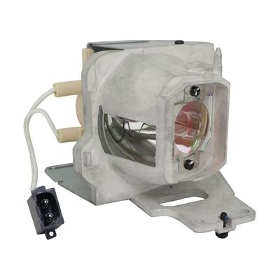 Ruby Lampe OPTOMA HD28e Ruby-SP.7G901GC01 / BL-FU240H Lampe Ruby Image