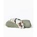 Fable Pets Signature Pillow/Classic Bed Polyester/Memory Foam/Cotton in Green | 4.75 H x 24 W x 30 D in | Wayfair 39576704417910