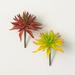 5 H Sullivans Red Yellow Succulent Spike Set of 2 Multicolor