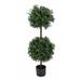 46 Boxwood Double Ball Topiary in Nursery Pot - 46 in