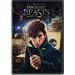 Pre-Owned Fantastic Beasts And Where To Find Them (DVD)