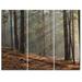 Design Art Rays of Sun in Dense Forest - 3 Piece Photographic Print on Wrapped Canvas Set