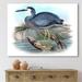 DESIGN ART Designart Vintage Australian Birds II Traditional Canvas Wall Art Print 12 in. wide x 8 in. high