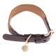 Nomad Tales Bloom Dog Collar - Caramel - Size S: 36-40cm Neck Circumference, 25mm Width