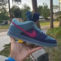 Nike Shoes | Ds Nike Sb X Run The Jewels 4/20 Low | Color: Blue/Pink | Size: 10