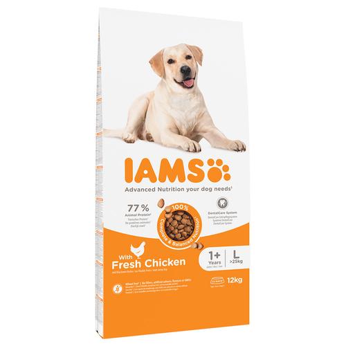 Sparpaket: 2x12kg IAMS Advanced Nutrition Adult Large Dog mit Huhn Hundefutter trocken