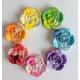 Rose Seed Bombs | Wildflower Seeds Pack Of 7 Rainbow