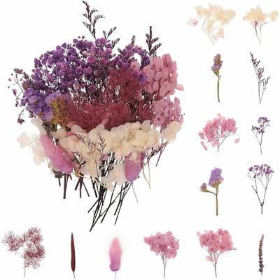 Violet) Bouquet de fleurs séchées naturs Décoration de fleurs pressées pour le bricolage Décoration