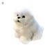 greenhome Simulation Stuffed Teddy Dog Design Plush Toy Home Decor Display Mold Kids Gift