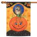 Orange and Brown Owl-kin Halloween Outdoor House Flag 40" x 28"