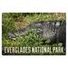 Everglades National Park Florida Alligator in Grass Birch Wood Wall Sign (6x9 Rustic Home Decor Ready to Hang Art)