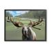 Stupell Funny Golf Clubs Moose Antlers Animals & Insects Painting Black Framed Art Print Wall Art