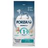 Forza 10 Medium Diet mit Fisch - 2 x 12 kg