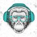 Trinx Hipster Monkey w/ Headphones by - Wrapped Canvas Graphic Art Canvas in White | 36 H x 36 W x 1.25 D in | Wayfair