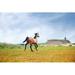 Gracie Oaks Winsor Running Horse by Zhenikeyev - Wrapped Canvas Photograph Canvas in Blue/Brown/Green | 8 H x 12 W x 1.25 D in | Wayfair