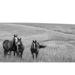 Gracie Oaks Benno Montana Moves V2 - Wrapped Canvas Print Metal in Black/Gray/White | 32 H x 48 W x 1.25 D in | Wayfair