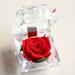 Valentine s Day Gift Acrylic Rose Acrylic Gift Box Valentine s Day Ornaments Eternal Roses for Valentine s Day Mother s Day Wedding Wife Birthday Gifts for Herï¼ŒRed