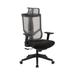 Inbox Zero Krey Ergonomic Mesh Executive Desk Office Chair w/ Strong Lumbar Support Upholstered/Mesh in Black | Wayfair