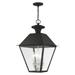 4 Light Outdoor Pendant Lantern in Coastal Style 15 inches Wide By 24.5 inches High Bailey Street Home 218-Bel-4363112