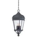 Minka Lavery Harrison 28 Inch Tall 4 Light Outdoor Hanging Lantern - 8694-66