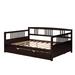 Red Barrel Studio® Daybed w/ Trundle in Brown | 34 H x 57 W x 78.6 D in | Wayfair 2E4BEFB3DC5E438E9CBC6508D2072330