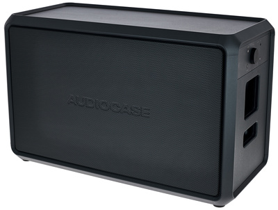 AUDIOCASE S10