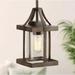LNC 1-Light Rustic Caged Textured Dark Brown Farmhouse Pendant Light with Modern Clear Glass Shade and Antique Wood Accent