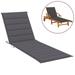 Dcenta Sun Lounger Cushion Fabric Outdoor Chaise Lounge Seat Cushion for Patio Lounge Chairs 78.7 x 27.6 x 1.2 Inches (L x W x T)