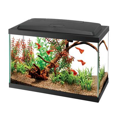 Aqueon Aquarium Starter Kit with LED Lighting, 5.5 Gallon