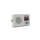 Pure Elan Dab+ Radio Stone - Grey