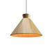 Accord Lighting Conical 15 Inch LED Large Pendant - 1474.3