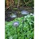 Rain Catchers - Rusty Metal Rain Plant Supports Garden Stakes Bird Bath Feeders Sculpture Rust Art