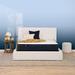 Full Firm 10.5" Mattress - Serta Perfect Sleeper Midsummer Nights | 74.5 H x 54 W 10.5 D in Wayfair 500319251-1030