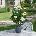 Garden Mile Artificial Plants Indoor And Outdoor Large Indoor Plant Artificial Rose Tree, Faux Fake Plants Home Décor Office Décor Decorative Artificial Plants In Grey Pot (60cm - Sunshine Yellow)