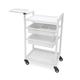 Facial Trolley Beauty Salon Fully Assembled Trolley Storage Organizer White Cart With 4 Drawers Elitzia ETST19