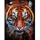 2000 Piece Wooden Jigsaw Puzzles For Adults Kids Puzzle For Adults 2000 Piece -Animal Tiger- Jigsaws Puzzles For Adults 2000 Large Educational Floor Puzzle Game Toys Gift For Home Wall Decor