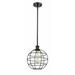 Innovations Lighting 516-1S-13-10 Lake Placid Pendant Lake Placid 10 Wide Cage Pendant -