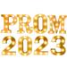 2023 Graduation Decorations LED Marquee Light up Letters â€œPROM 2029â€� Light up Letter Numbers for Kindergarten Preschool High School College Graduation Decorations Party Supplies