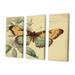 August Grove® Vintage Illustration Of Butterfly VI - Animals Butterfly Canvas Wall Art Set_80517 Canvas in White | 20 H x 36 W x 1 D in | Wayfair