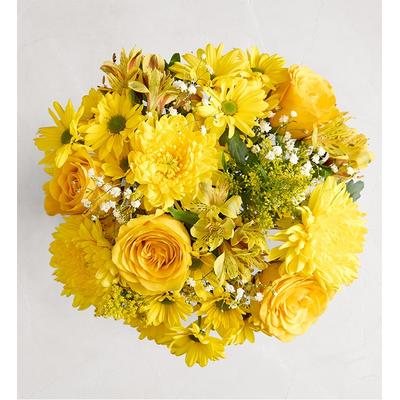 1-800-Flowers Flower Delivery Radiant Sunshine Bouquet Only